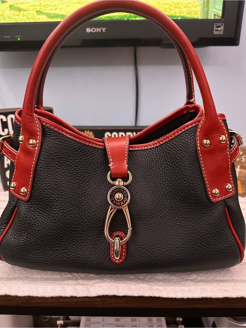NWOT Dooney & Bourke Pebble Grain Small Logo Lock Satchel